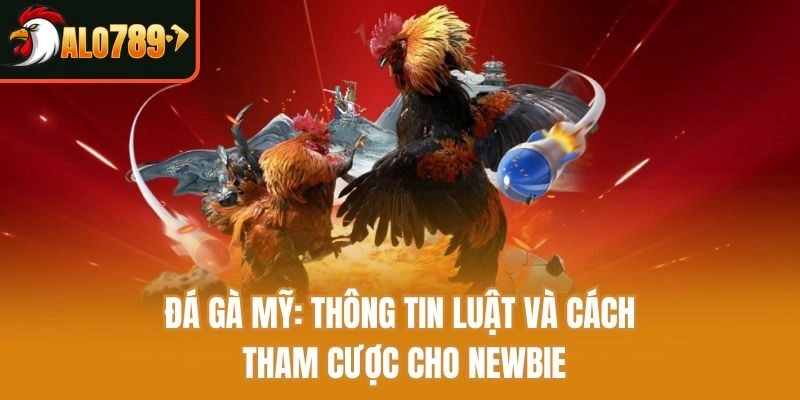 Đá Gà Mỹ: Thông Tin Luật Và Cách Tham Cược Cho Newbie