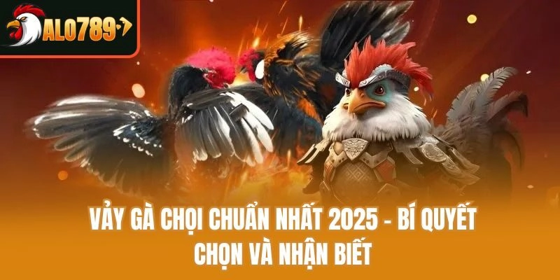 Vảy Gà Chọi Chuẩn Nhất 2025 – Bí Quyết Chọn Và Nhận Biết