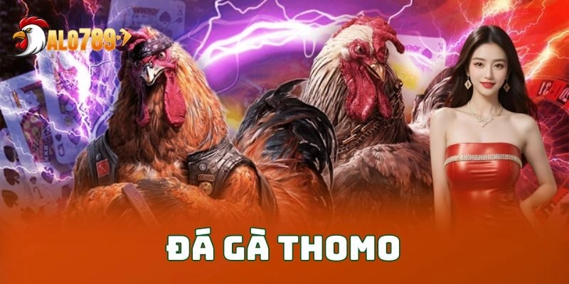 Trải Nghiệm Đá Gà Thomo – Không Giới Hạn Kịch Tính
